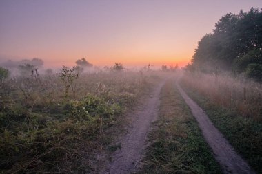 Tarlanın üzerinde sisli bir sabah