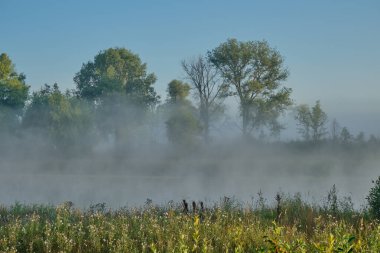 Gölün üzerinde sisli bir sabah