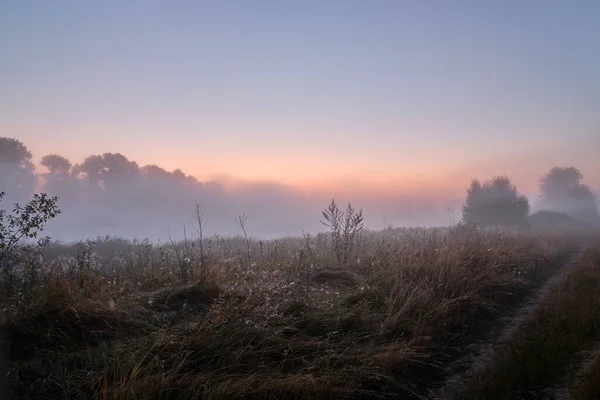 Foggy Morning Lake — Stock Photo, Image
