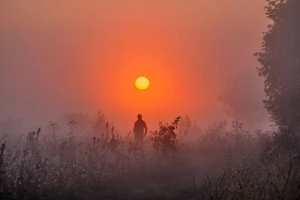 Nebliger Morgen Über Dem Feld — Stockfoto