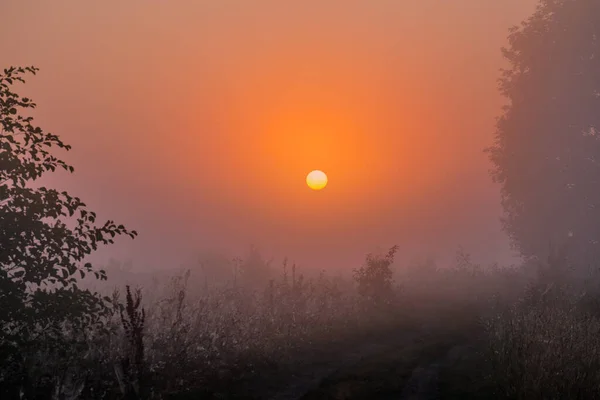 Foggy Matin Dessus Lac — Photo