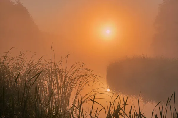 Nebliger Morgen Über Dem See — Stockfoto