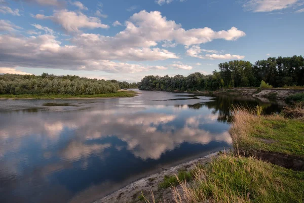 Reflexion Von Bäumen Wasser — Stockfoto