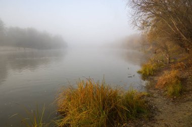 Sonbaharda nehrin kenarında sisli bir şafak.