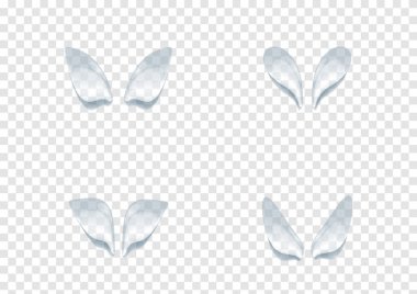 Gerçekçi su damlası vektörleri şeffaflık arkaplanı ep87 'de izole edildi