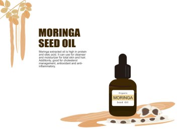 Tıbbi tedavi vektörü ep03 'te gerekli yağ çıkarımı için moringa otu.