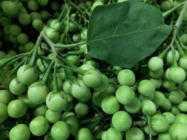 Güzel taze patlıcan arkaplanı