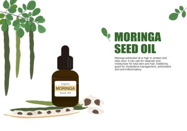Tıbbi tedavi vektörü ep04 'te gerekli yağ çıkarımı için moringa otu.