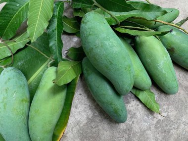 Beton zeminde taze çiğ mango.