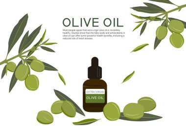 Beyaz arkaplanda izole edilmiş zeytin bitkisi vektörü