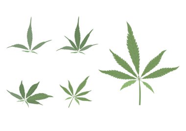 Tıbbi tedavi vektörü ep05 için kenevir bitki nesnesi