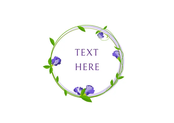 Butterfly Pea Flower Frame Vector Isolated White Background — Wektor stockowy