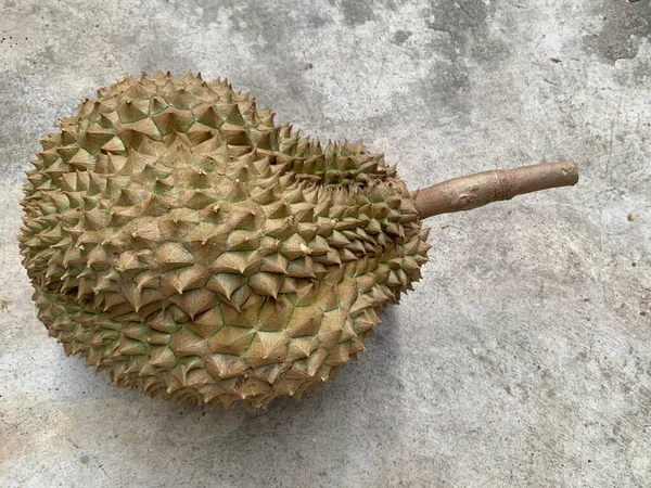 Ein Durian Thailändischer Früchte Auf Dem Zementboden — Stockfoto