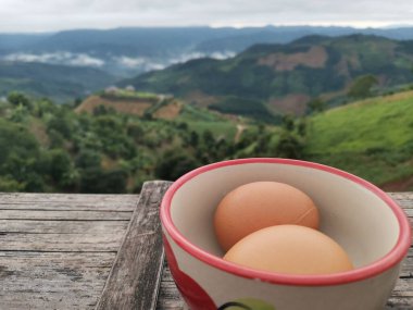 Philodendron ağaç zemininde yemyeşil büyüme