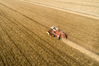 Harvesting machine working in the countryside