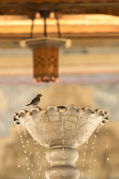 Saraybosna - klasik Osmanlı Camii mimarisinin