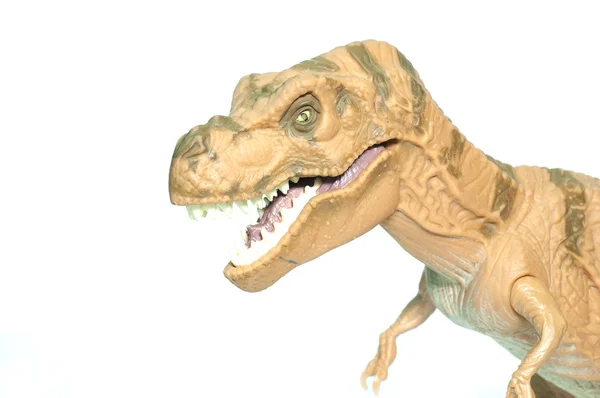 Tirannosauro Rex isolato su bianco — Foto Stock