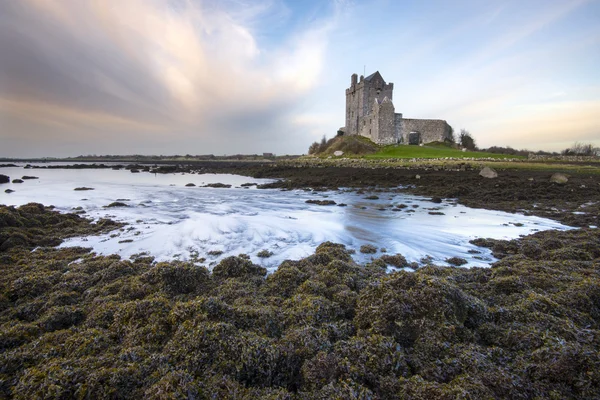 Kinvara hrad v Irsku — Stock fotografie