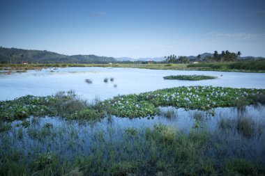 Malezya kırsalında uzun pozlama