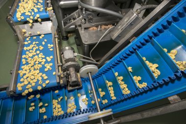 Tortellini makarna üretim hattı