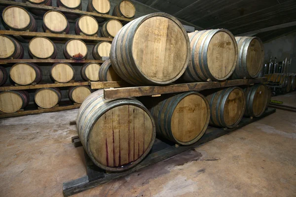 传统的葡萄酒酒窖 — 图库照片