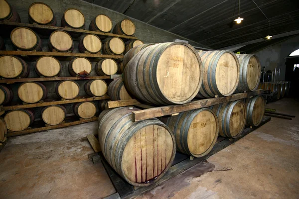 Traditional Wine cellar — Stock Photo, Image