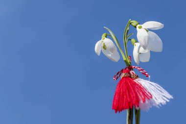 Kar damlaları, martenitsa ve mavi gökyüzü arkaplanı. 1 Mart geleneği beyaz ve kırmızı kablo savaşçısı. Baharın başlangıcı için neşeli bir konsept. Bulgaristan 'ın Baba Marta bayramı. Boşluğu kopyala.