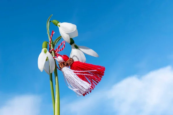 Mavi gökyüzüne karşı kar damlaları ve martenitsa. Martisor rüzgârda savruluyor. 1 Mart - geleneksel incik boncuklar. Baba Marta Günü - Bulgaristan bayramı. Bahar Konsepti 'nin başlangıcı. Boşluğu kopyala.