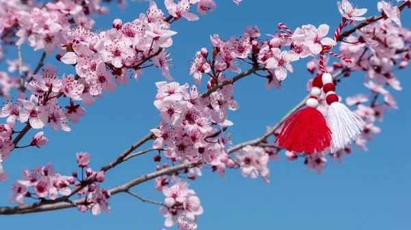 Banner Voorjaar Achtergrond Met Roze Bloesem Bulgaarse Symbool Van Lente — Stockfoto