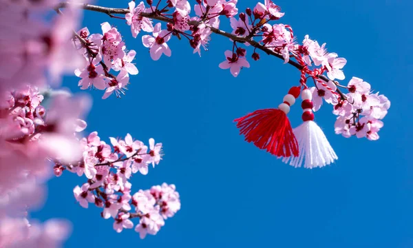 Banner Spring sınırı veya pembe çiçekli arka plan ve Bulgaristan 'ın bahar sembolü martenitsa. Çiçek açan ağaç ve mavi gökyüzü ile güzel bir doğa sahnesi. Bahar çiçekleri elmalı kirazlı sakura. kopyalama alanı