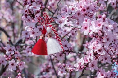 Martenitsa on blossoming tree - symbol of beginning of spring. Decorations made of red and white thread are presented in Bulgaria on 1st of March holiday. Spring background with pink bloom. Copy space clipart