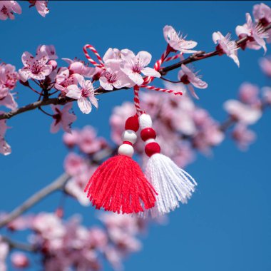 Çiçek açan ağaç dalı ve mavi gökyüzüne karşı martenitsa. Martisor ve bahar çiçeği. 1 Mart - geleneksel incik boncuklar. Baba Marta Günü - Bulgaristan bayramı. Bahar Konseptinin Başlangıcı. Quare