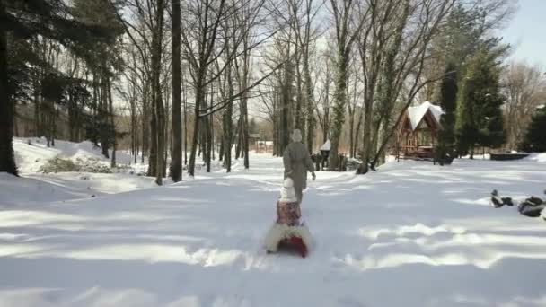 A mãe carrega uma criança num trenó. Família numa floresta nevada. Vista traseira. — Vídeo de Stock