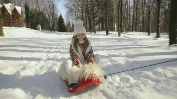 Flickan åker pulka genom skogen och ler — Stockvideo