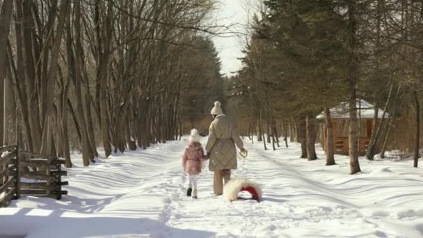 后视镜妈妈和女儿在雪地的森林里走在把手旁边. — 图库视频影像