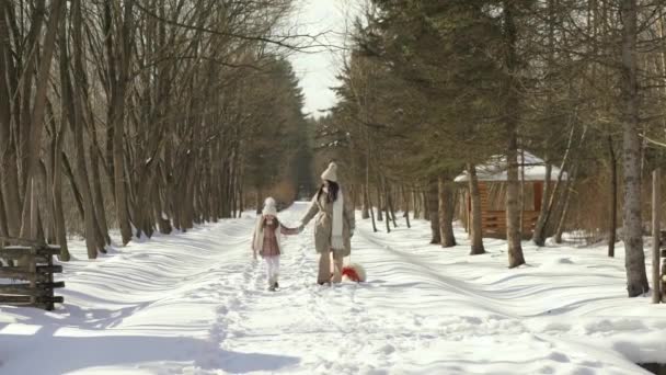 Vista frontale. Mamma e figlia camminano vicino alla maniglia nella foresta innevata — Video Stock