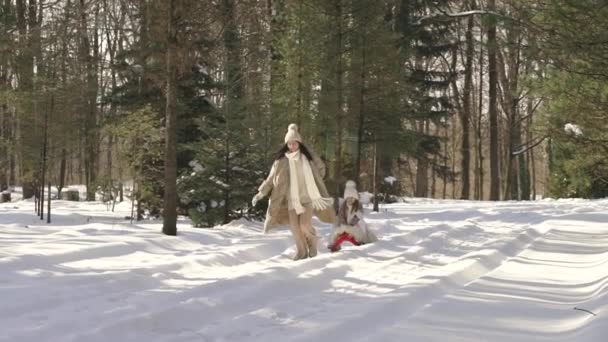 Al rallentatore. Mamma guida un bambino su una slitta. Foresta invernale. — Video Stock