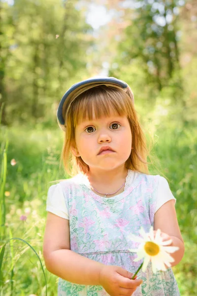 Little Girl Holds White Chamomile Flower Her Hand Blurred Background — Stock Photo, Image