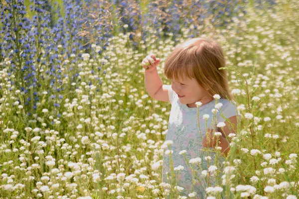 Uma Menina Sorri Contra Fundo Das Flores Campo — Fotografia de Stock