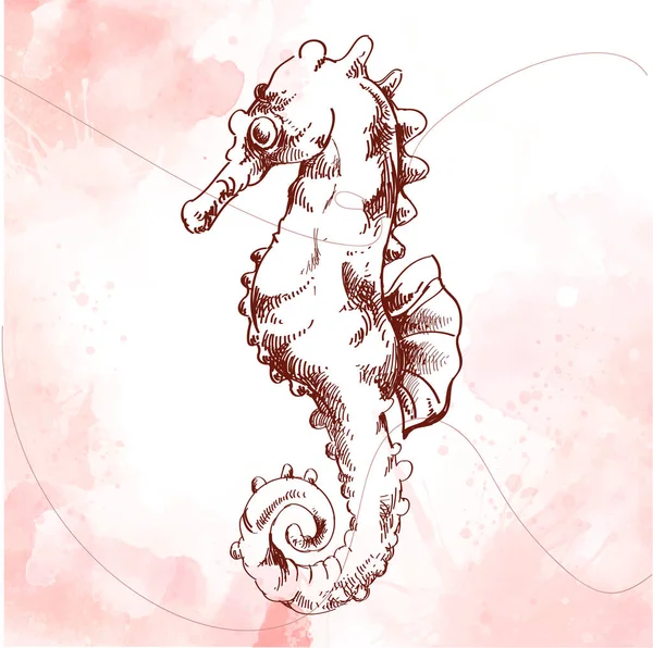 Animal Mer Dans Style Graphique Croquis Sur Aquarelle Modèle Tatouage — Image vectorielle