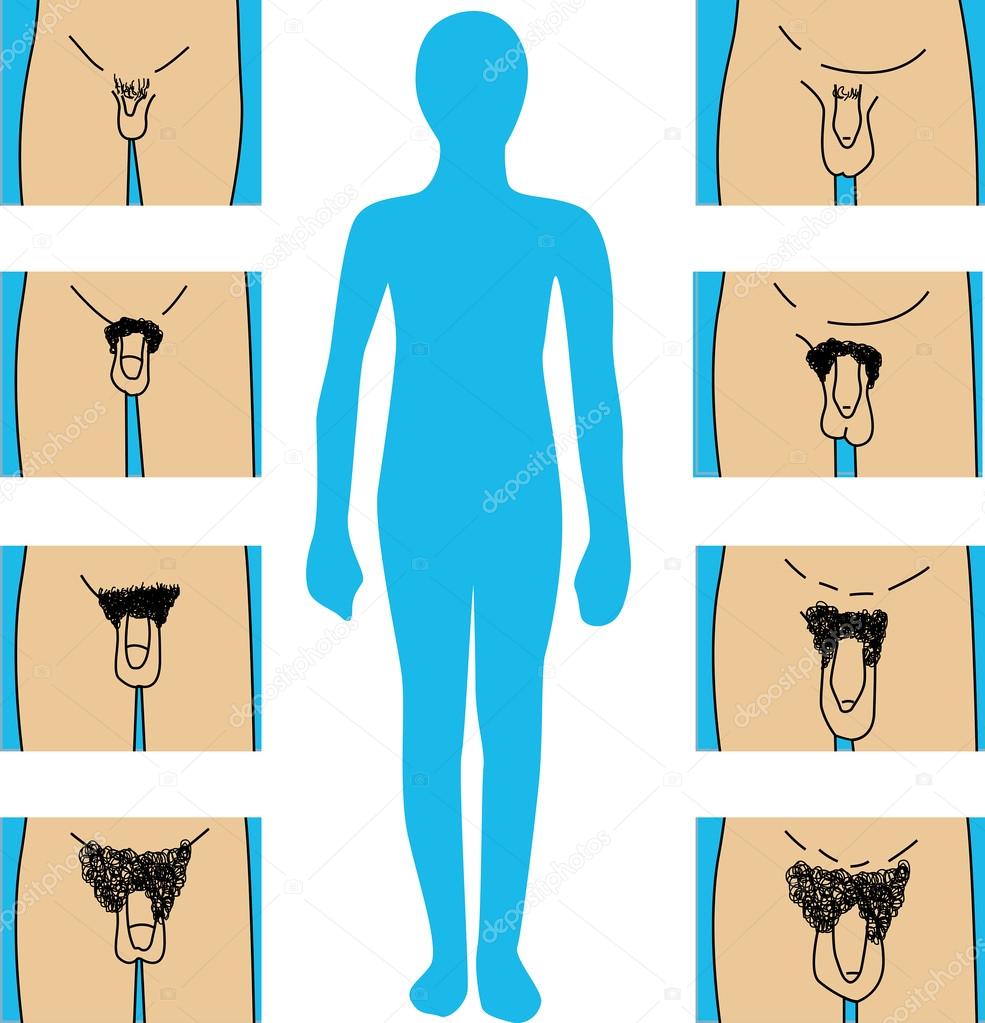 Pubic hair Vector Art Stock Images | Depositphotos Pubic hair Vector Art Stock Images | Depositphotos