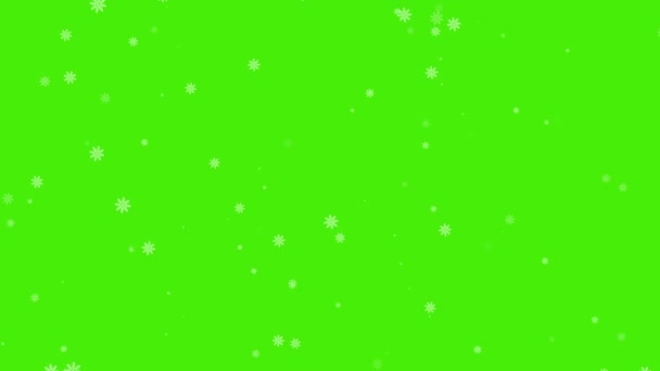 Πτώση Χιόνι Νιφάδες Χιονιού Χριστούγεννα Φόντο Πράσινη Οθόνη — Αρχείο Βίντεο