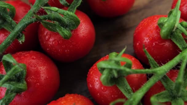 Estúdio Ainda Vida Com Tomate Cereja Footage Fresh Tomates Cereja — Vídeo de Stock