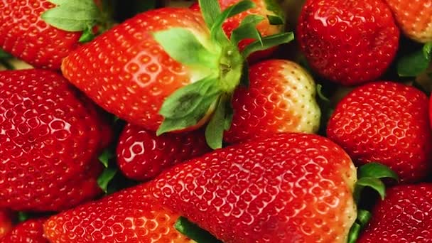 Fragole Sfondo Footage Close Macroshot Fragole Fresche Fragole Ruotano Attorno — Video Stock