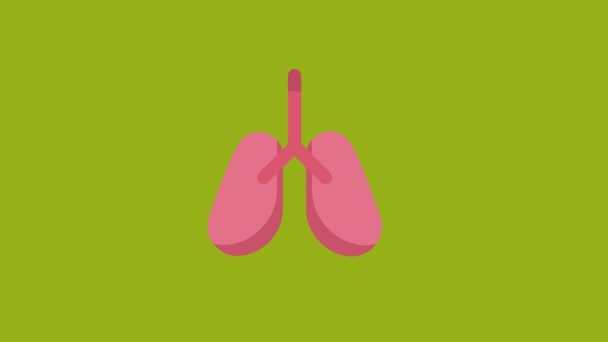 Animation Icône Pulmonaire Sur Fond Vert Écran Vidéo Clé Chromatique — Video