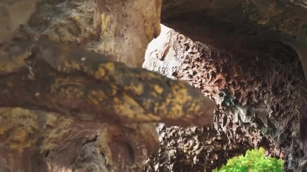 The entrance to the karst cave. Traces of carving and stucco molding by human hands on the stone — Stock Footage Entrance Karst Cave Traces Carving Stucco Molding Human Hands Stone Stock Footage