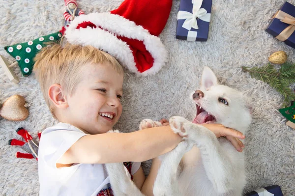 可愛い白い子犬は軽いカーペットの上にあります 彼の周りにはクリスマスギフト サンタの帽子とギフトボックスがあります 冬休みの準備 お気に入りのペット — ストック写真