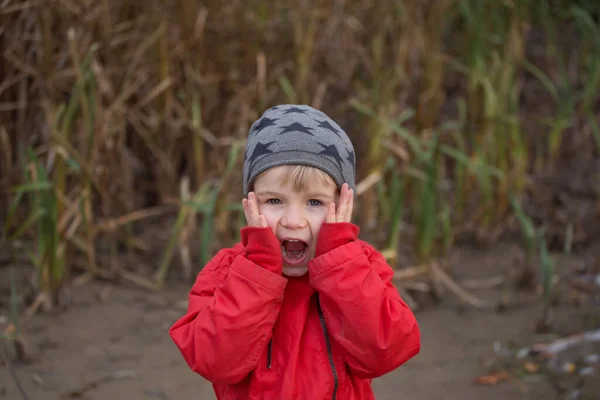 Портрет Милий Хлопчик Малюк Червоній Куртці Яскравими Емоціями Обличчі Дивиться — стокове фото