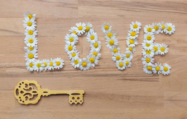 Papatyanın Küçük Beyaz Çiçeklerinin Ahşap Arka Planında Aşk Kelimesi Uzanır — Stok fotoğraf