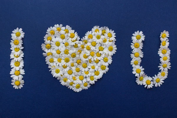 Seni Sevdiğim Yazıtlar Beyaz Papatya Çiçeklerinden Koyu Mavi Bir Arka — Stok fotoğraf